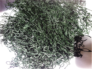 spirulina disidrata pura