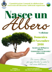 nasce un albero