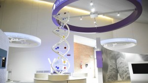 Elica del DNA nel Museo Corporea