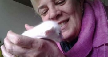 Letizia Montanari, gatti non parole..