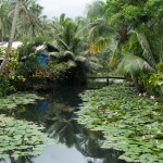 Tahiti_Teahupoo_le Village_stagno