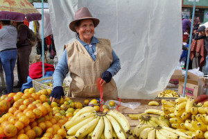 donna-etnica-ecuadoriana-con-i-vestiti-nazionali-che-vendono-frutti-un-mercato-rurale-di-sabato-del-villaggio-di-zumbahua-40586421