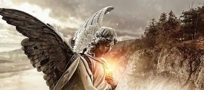 angeli