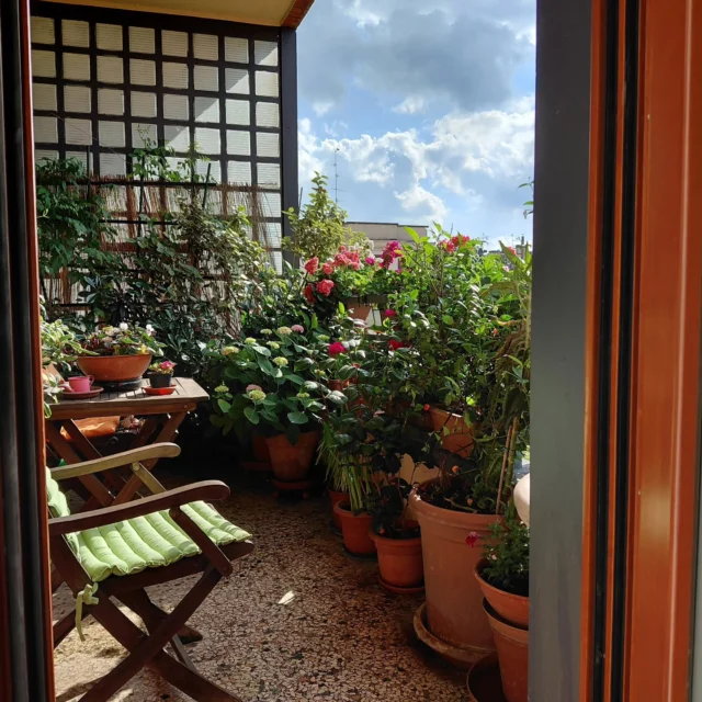 Terrazzo un fiore