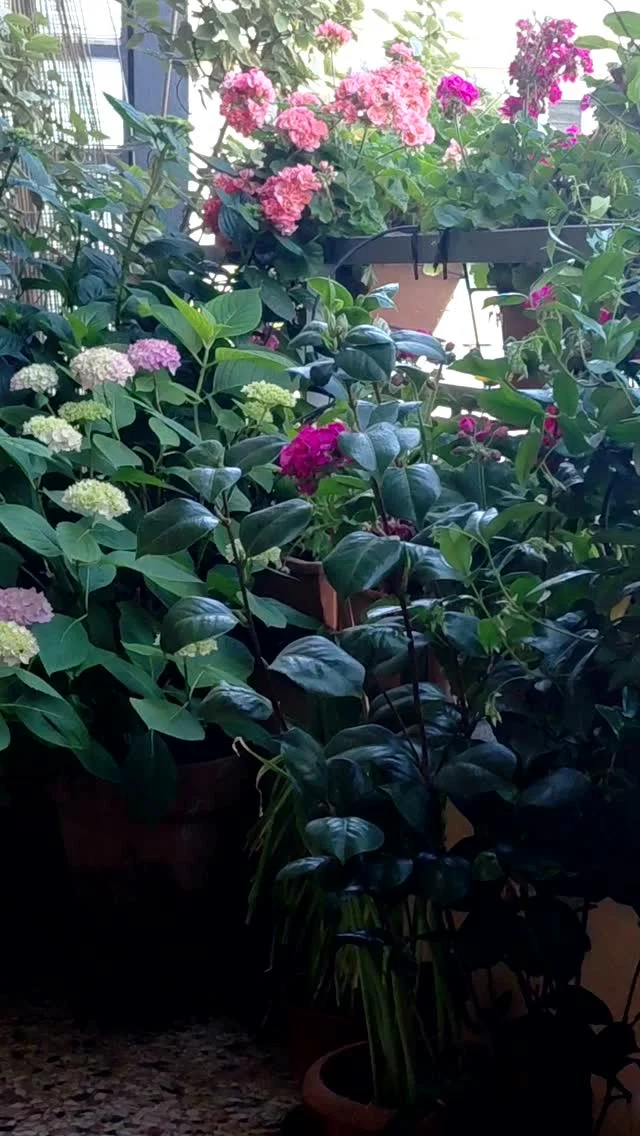 Post su Instagram 18029131973428370