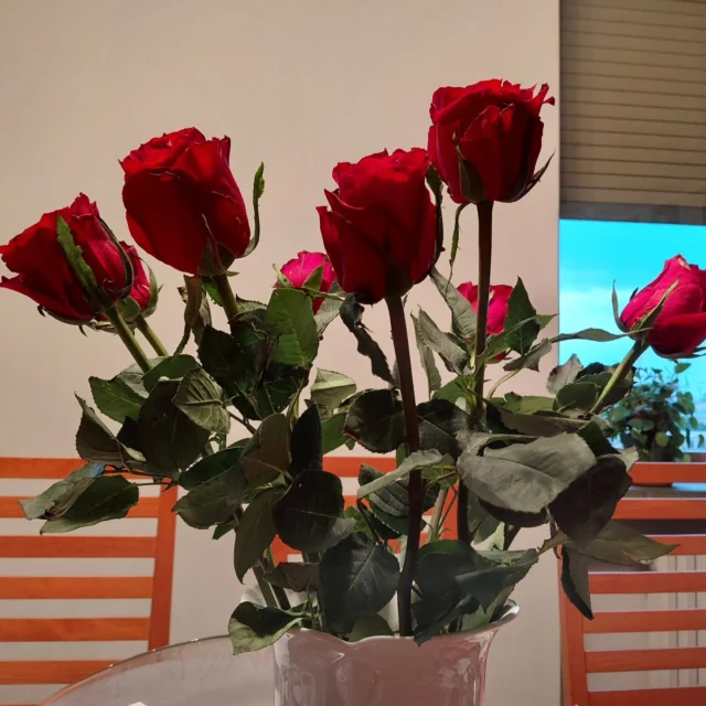 Rose rosse per me