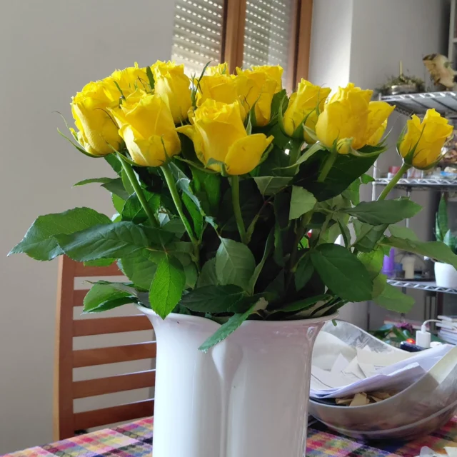 È il tempo delle rose