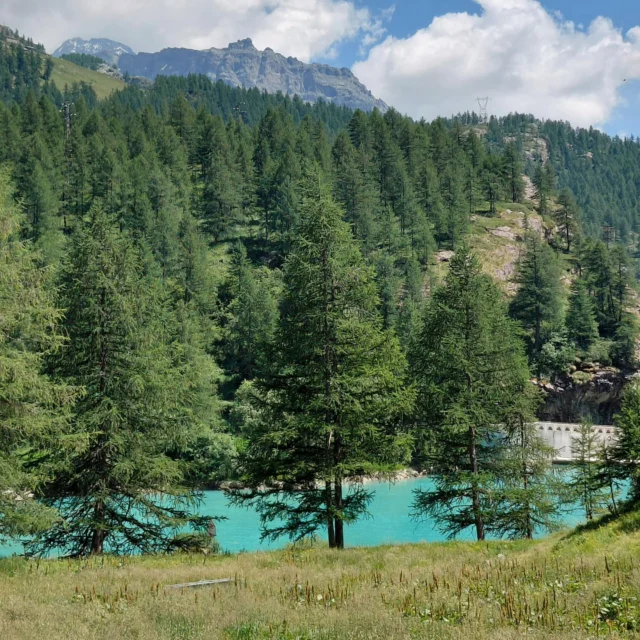 Torgnon valle d l Cervino