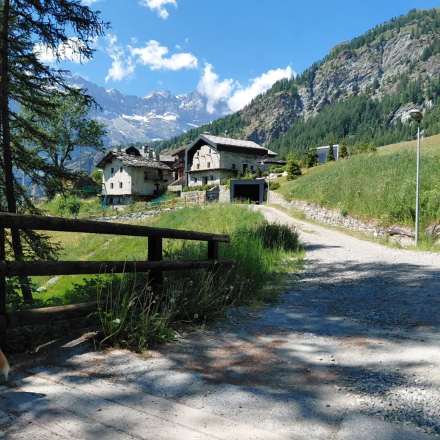 Andar per boschi