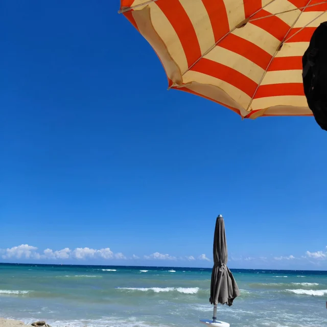 Torre canne